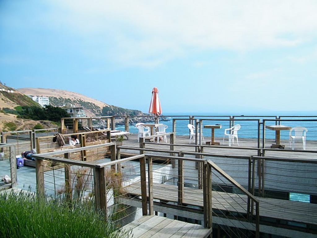 Thalassus